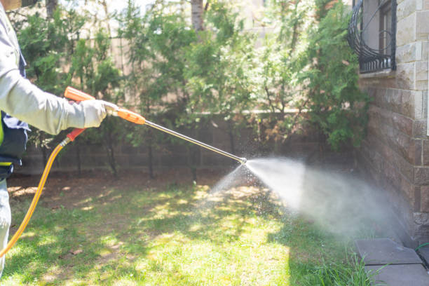 Spider Control Near Me in Travilah, MD
