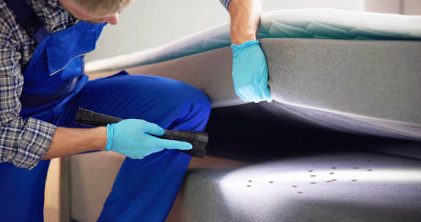 Reliable Travilah, MD Pest Control Solutions